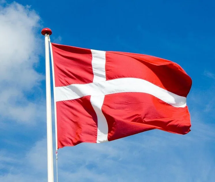 1Pcs Denmark Flag 150x90cm Custom Banner National flags Hanging Indoor Outdoor FLAG Country F2832 | Дом и сад