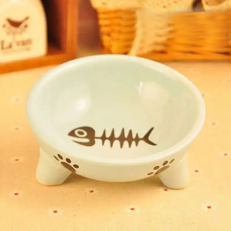 fish cat bowl