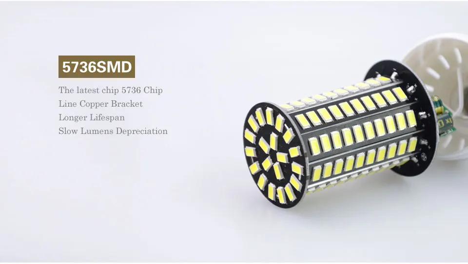 LED Lamp 5736 (5)