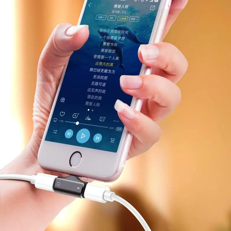 MeterMall двойной порт адаптер сплиттер 2 в 1 Наушники Аудио зарядка ключ для iPhone XS, XS Max, XR, X, 8/8 Plus, 7/7 Plus