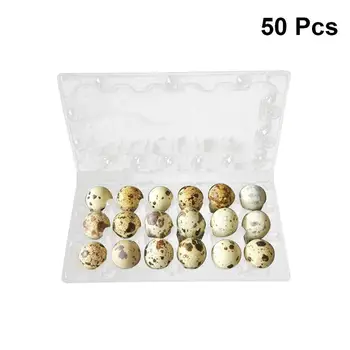 

50Pcs 18 Grids Quail Egg Storage Box Plastic Transparent Egg Dispenser Holder Case Refrigerator Egg Protection Box Kitchen