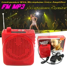 Mini HIFI Portable Speaker 25W FM Radio Wireless USb Amplifier Stereo Sound Box For PC Sport Teaching Tour Guide Sales Promotion