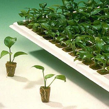 

New 2020 Multifunction Seedling Tray Ventilative Practical Soilless Cultivation Cubes Hydroponic Grow Mini Blocks Compress Base