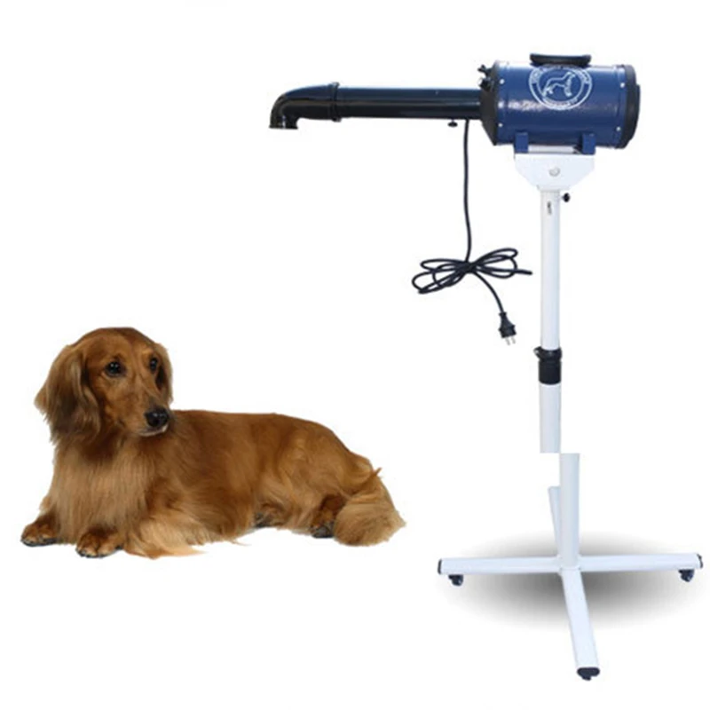 blower for pet grooming