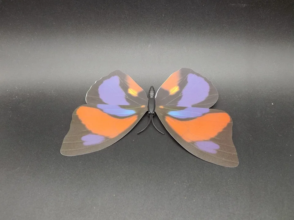 I240-Butterfly (7)