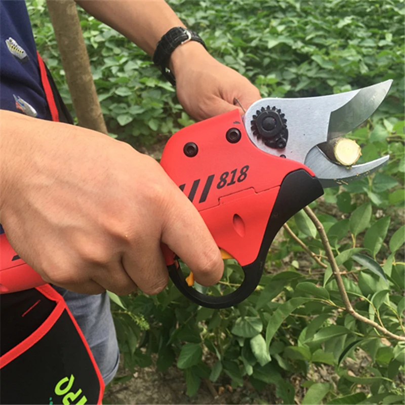 Electrc Shears,Electric Pruner for kiwi fruit tree,garden scissors