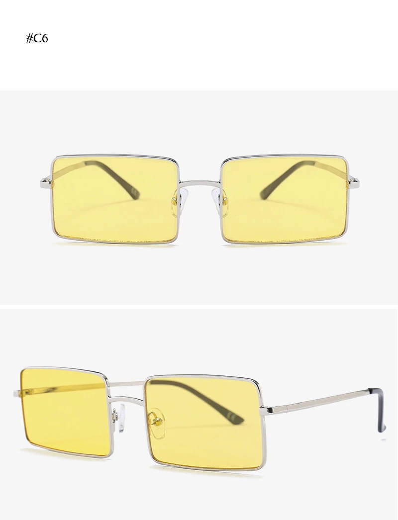 Square Small Sunglasses (22)
