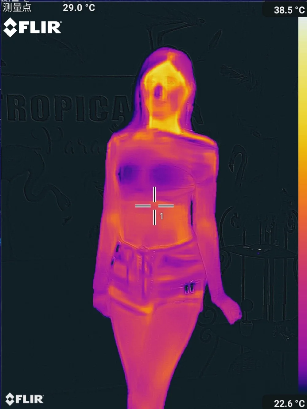 Тепловизионная камера ИК изображения ночное видение FLIR ONE PRO используется для iphone