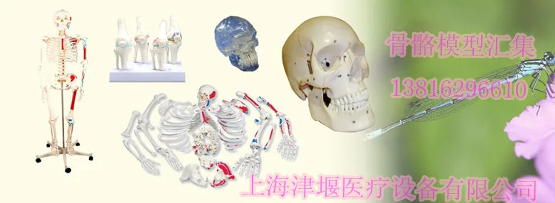 //img.alicdn.com/imgextra/http://img04.taobaocdn.com/imgextra/i4/466366108/T2VoWqXklcXXXXXXXX_!!466366108.jpg