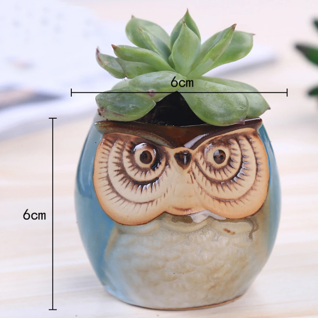 6pcs Pot Tanaman Ornamen Hewan Burung Hantu Pola Mini Pot Tanaman
