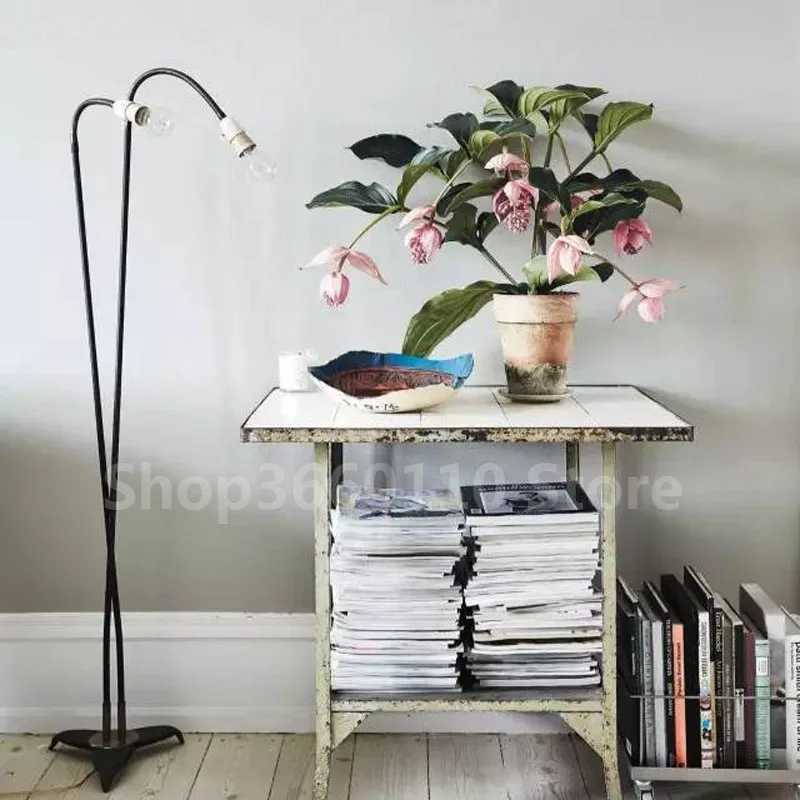 Medinilla Magnifica завод plantas natura бонсай цветочное растение для дома цветок для украшения сада завод 100 шт. семена цветок Medinilla Magnifica завод plantas natura бонсай цветочное растение для дома цветок для украшения сада завод 100 шт. семена цветок