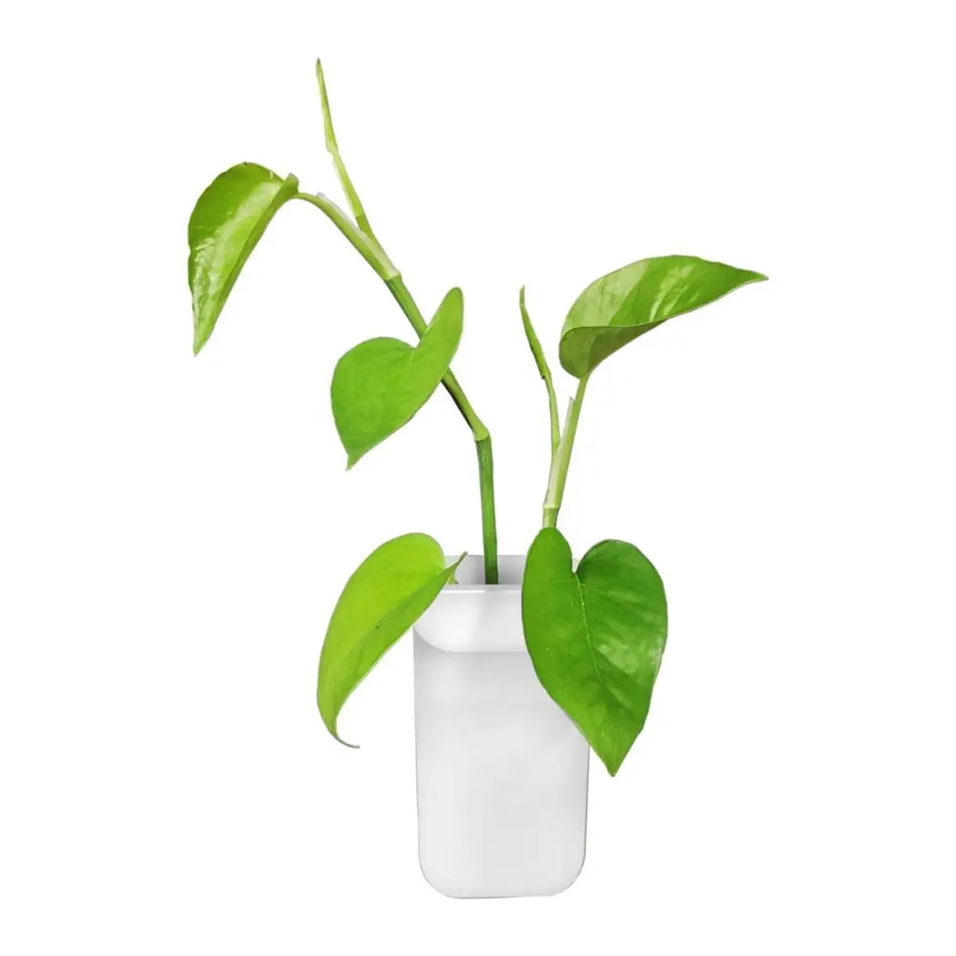 

New Silicone Vase Stickers No Need Indoor Punch Sticker, with Plastic bottle 8cm Home Wall Modern Art Decor Kit