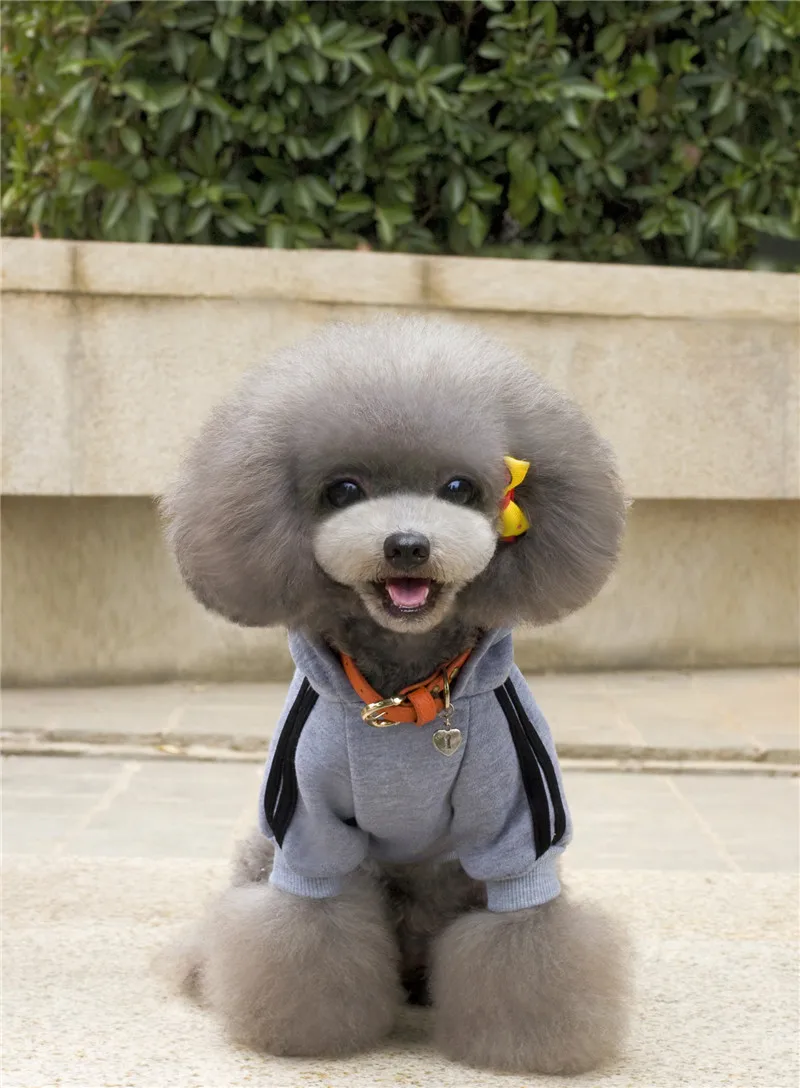 A10115