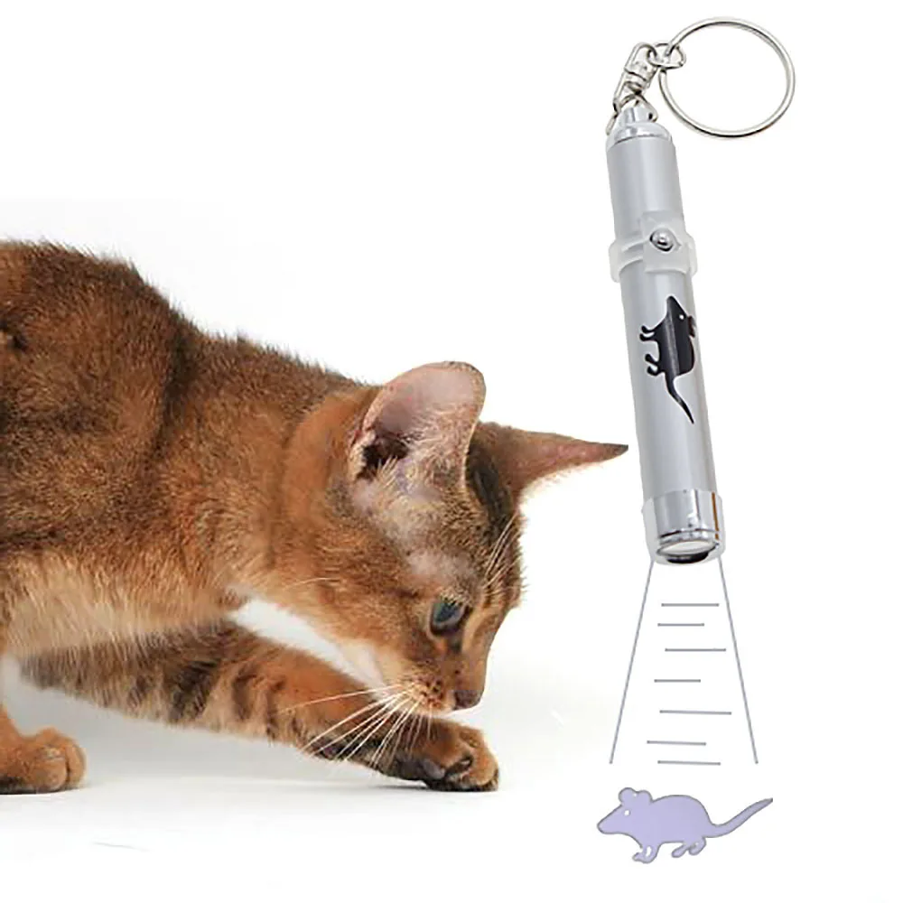 Dog Laser Pointer Video Dog Laser Pointer Video