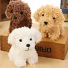 12 cm Simulation Dog Poodle Plush Toys  Animal Suffed Doll Key Chain Ring Pendant Plush Toys for Christmas Gift ► Photo 1/6