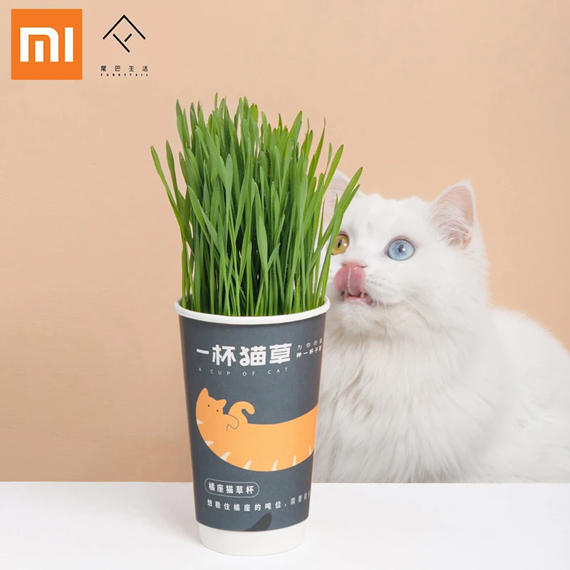 Xiaomi FURRYTAIL чашка кошачьей мяты используется для добавления кошачьей пищи для предотвращения трёхобезоара домашних кошек и очистки кошачьих зубов, посаженных Кошачьей Мятой