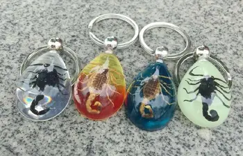 

FREE SHIPPING 20 PCS Mixed Colorful Drop real black golden scorpion Keychain Vintage Jewelry