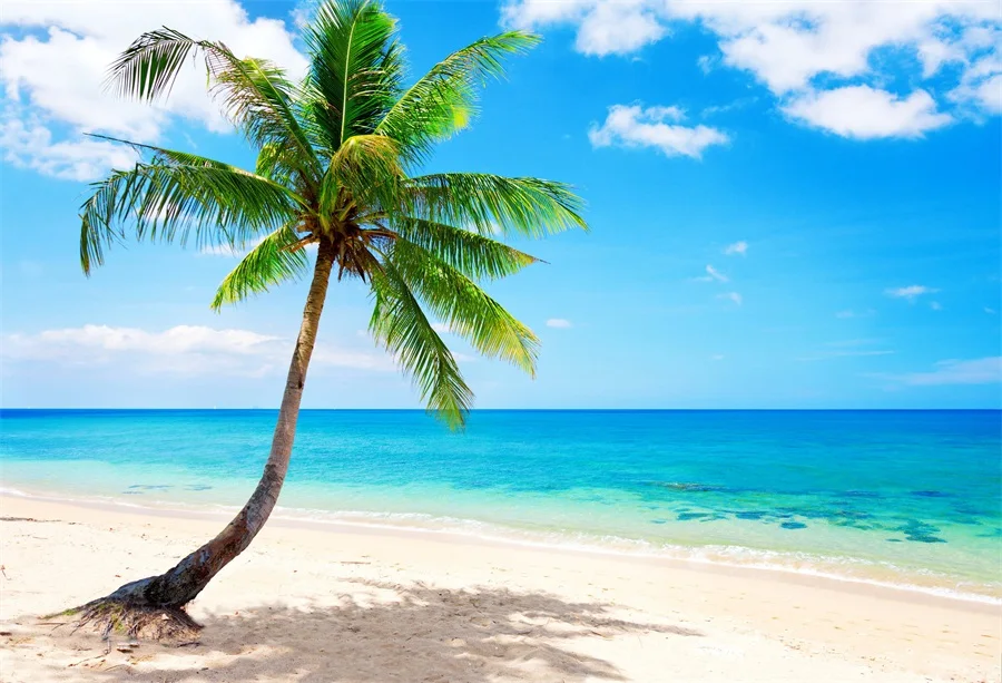 Laeacco Лето голубое небо Море пляжное пальмовое дерево Пейзаж фотографии фоны на заказ фотографические фоны для фотостудии