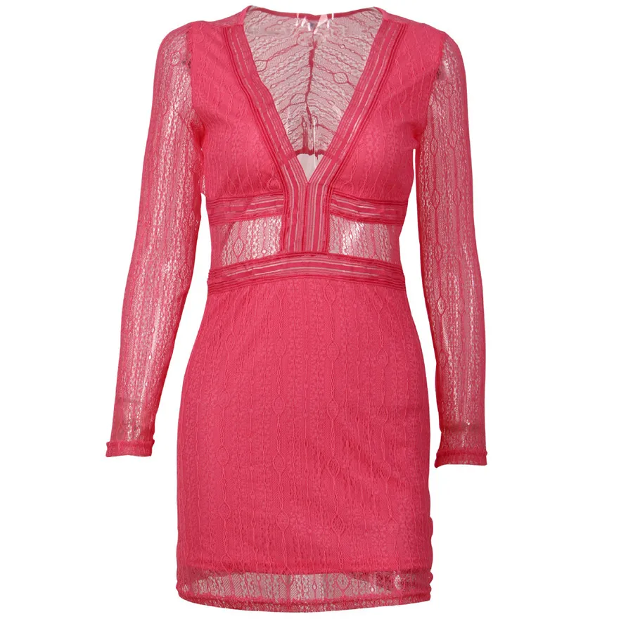 Gladiolus Lace Spring Autumn Dress Women 2019 Long Sleeve Deep V-Neck Hollow Out Mini Women Party Dress Ladies Sexy Club Dresses (24)
