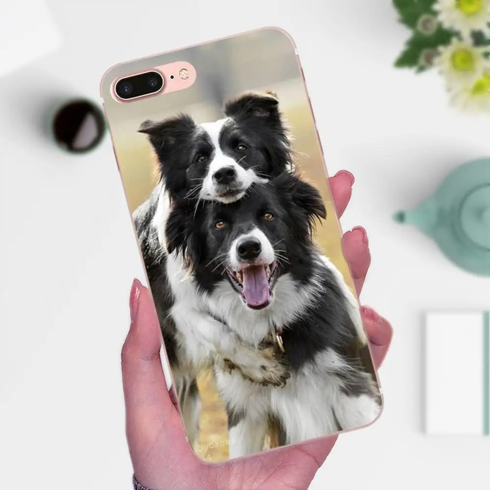 Аксессуары для телефона Border Collie Dog Breed чехол Huawei P8 P9 P10 P20 P30 Mate 7 8 9 10 20 Lite Plus Pro