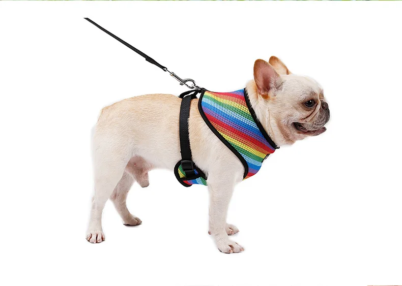 Dog Harness with Leash Set  (9)