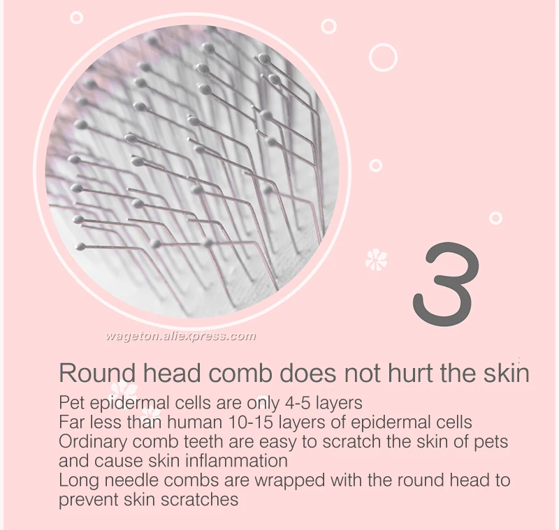 13 grooming pet 