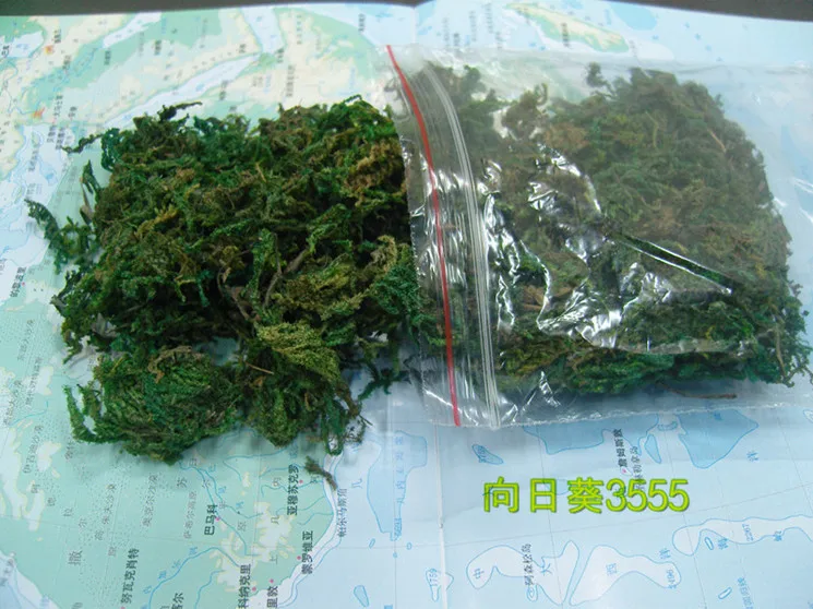 Simulation Turf Grass Flower Pine Needles Plastic Carpet Artificial