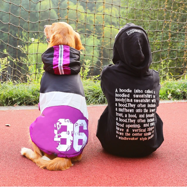 Large Padded Hoodie 6