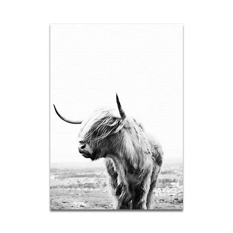 

COSY MOMENT Highland Cow Canvas Painting Wall Art Posters And Prints Black White Yak Oxen Nordic Picture For Living Room ZS119