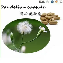 Factory price supply pure natural Dandelion root extract 800g/lot  HOT Sale