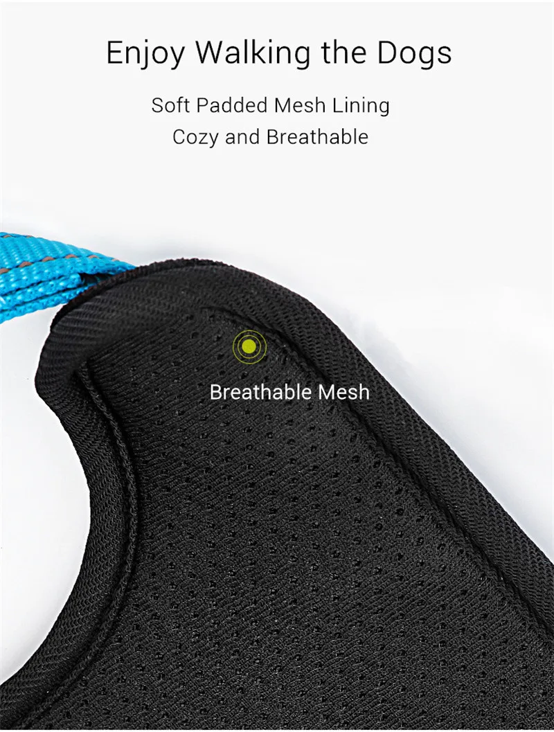Dog Harness (6)