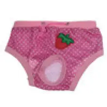 Female Pet Dog Physiological Menstrual Hygiene Pants Estrus girl puppy period menstruation panty with strawberry supply Female Pet Dog Physiological Menstrual Hygiene Pants Estrus girl puppy period menstruation panty with strawberry supply