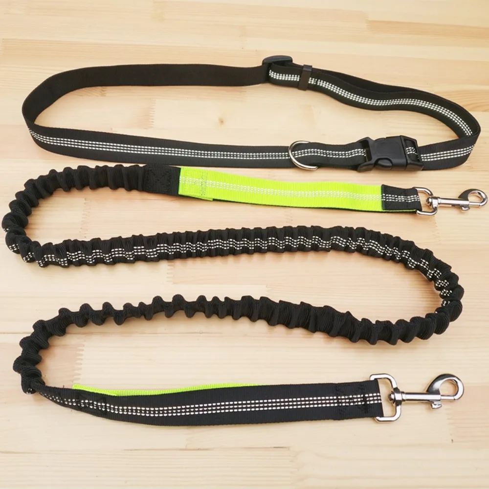 

Adjustable Dog Leash Running Jogging Dog Sport Product Elastic Waist Nylon Dog Leash With Reflective Strip Pet Accessories