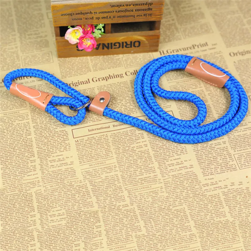Good Quality Nylon Training Lead Dog Leash Rope One piece Dog Traction