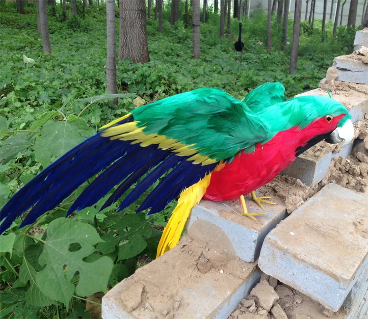 big-simulation-green-blue-red-parrot-toy-polyethylene-furs-wings-parrot-model-gift-about-45cm-1554