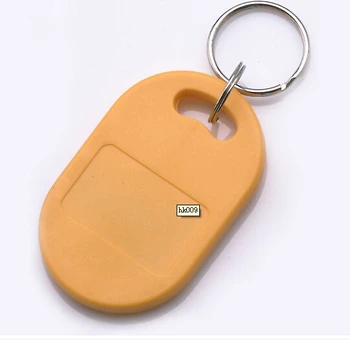

125khz EM4100 frequency Access control card RFID Tag Keychain/Proximity Tag For ID Reader Use