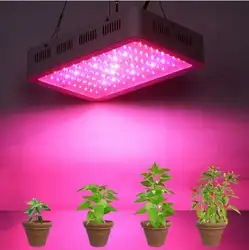 Лучший Полный спектр 300 Вт светодиодный свет для выращивания гидропонная теплица для выращивания палаток светодиодный светильник