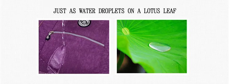 3756219298_2074850805