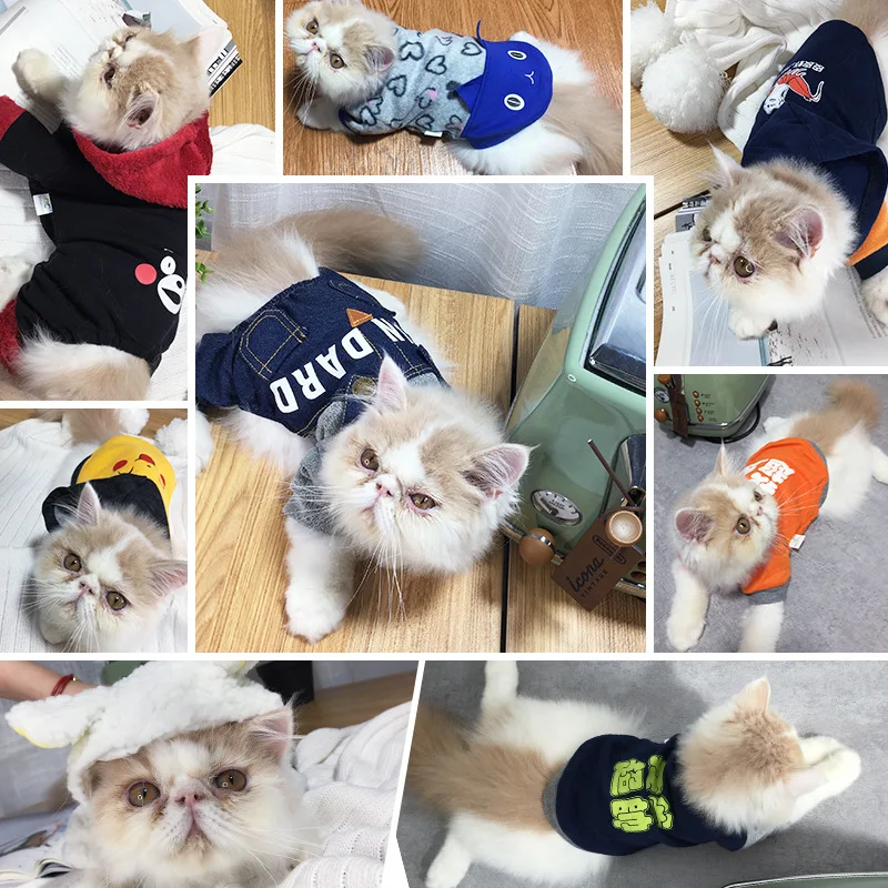 Забавная одежда для кошек игровой костюм собак зимняя Хэллоуина нарядный кошки| |