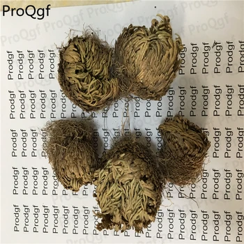 

5Pcs A Set turn green