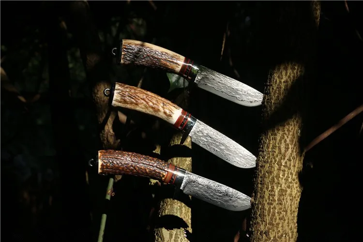 TB2QIELnpXXXXc6XXXXXXXXXXXX_!!2646315462