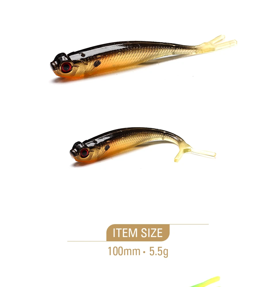 REAL-SHAD_01