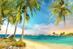 Виниловый летний праздничный фон с изображением пальмы для свадебной фотосъемки с изображением голубого неба и морской волны фон
