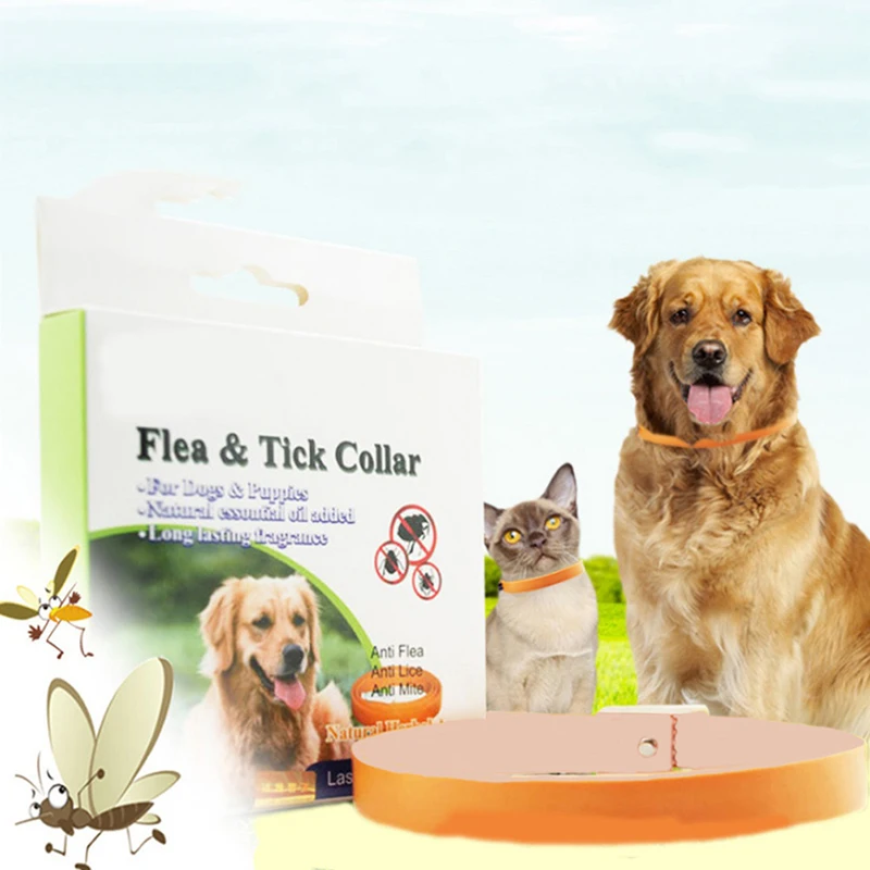

New Dog Cat Anti Tick Fleas Chewing Lice Sarcoptic Mange Quick Kill Repel Remover Protection Collar Necklace