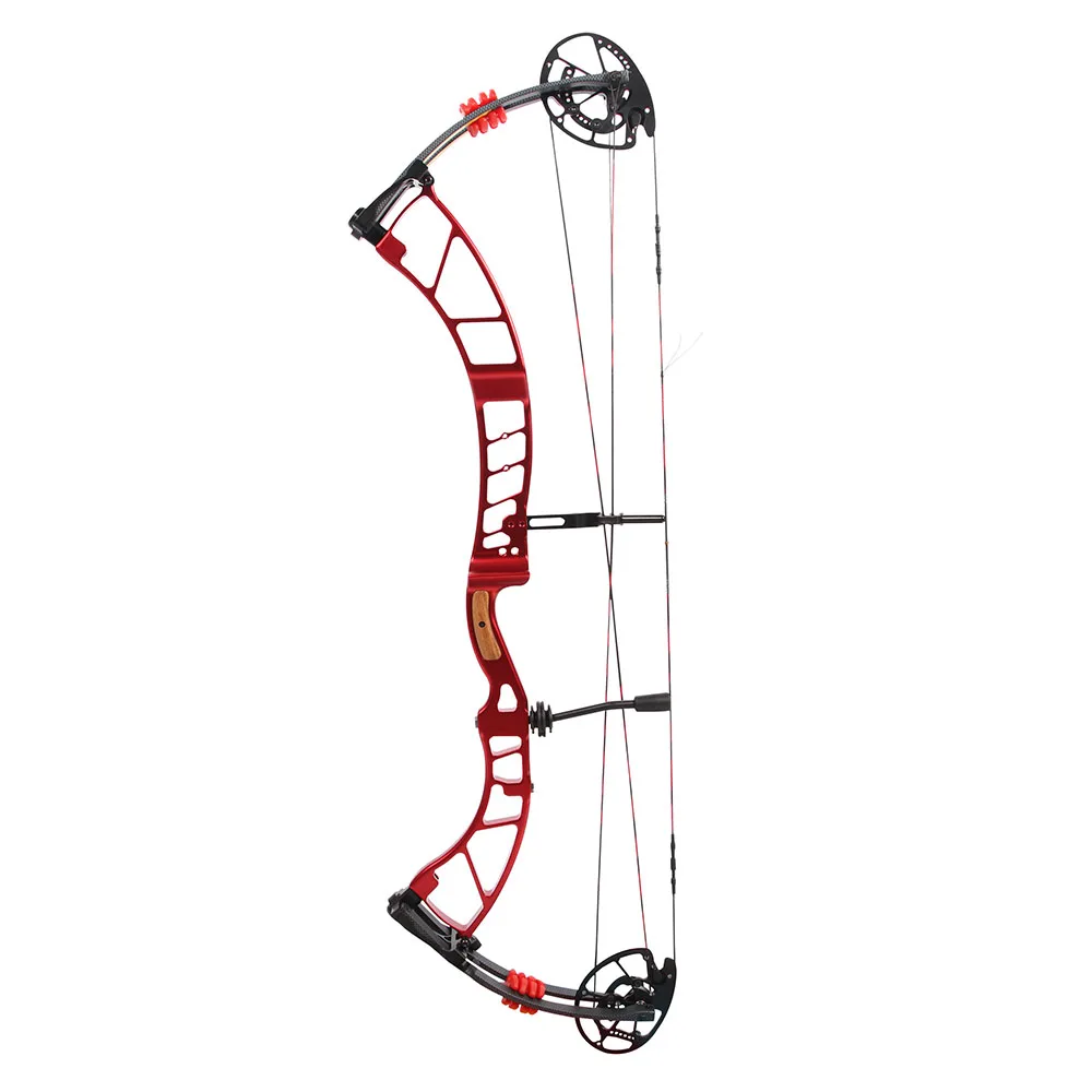Sanlida Prodigy X10 Advanced Target CNC Compound Bow 310FPS 28 5 31 '' многоцветная охотничья съемка для