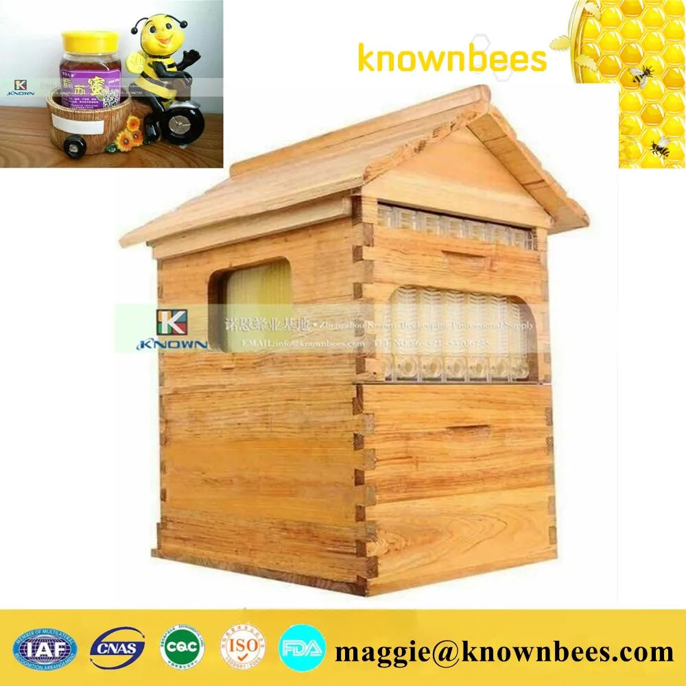 

New style flow hive for easier honey harvesting