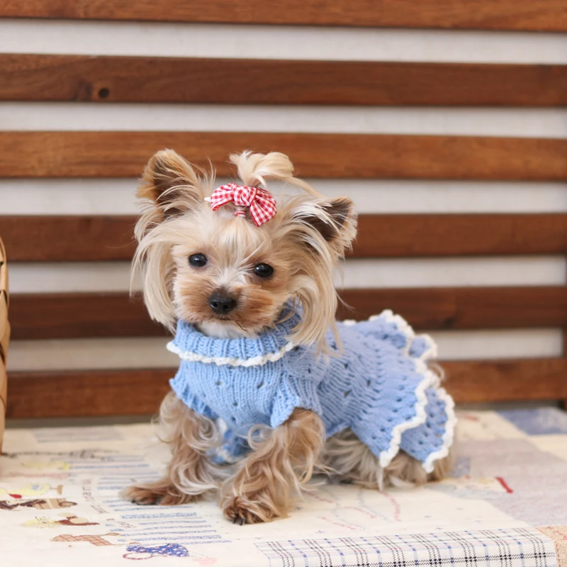 Высококачественные вязаные платья ручной работы Одежда для собак товары для кошек платья для животных Мальтийский Чихуахуа Йоркский весна осень
