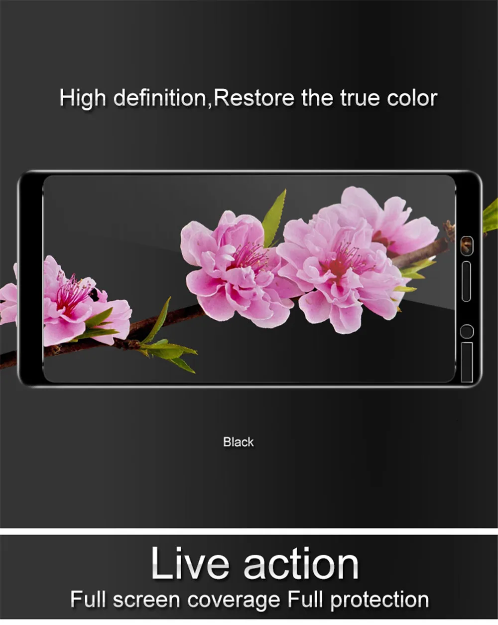 7英文版 诺基亚7 plus