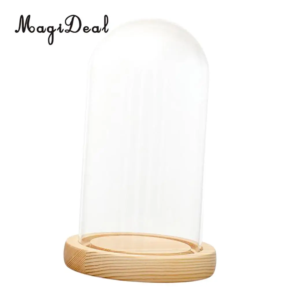 MagiDeal Clear Glass Display Dome with LED Wood Base Microlandscape Holder