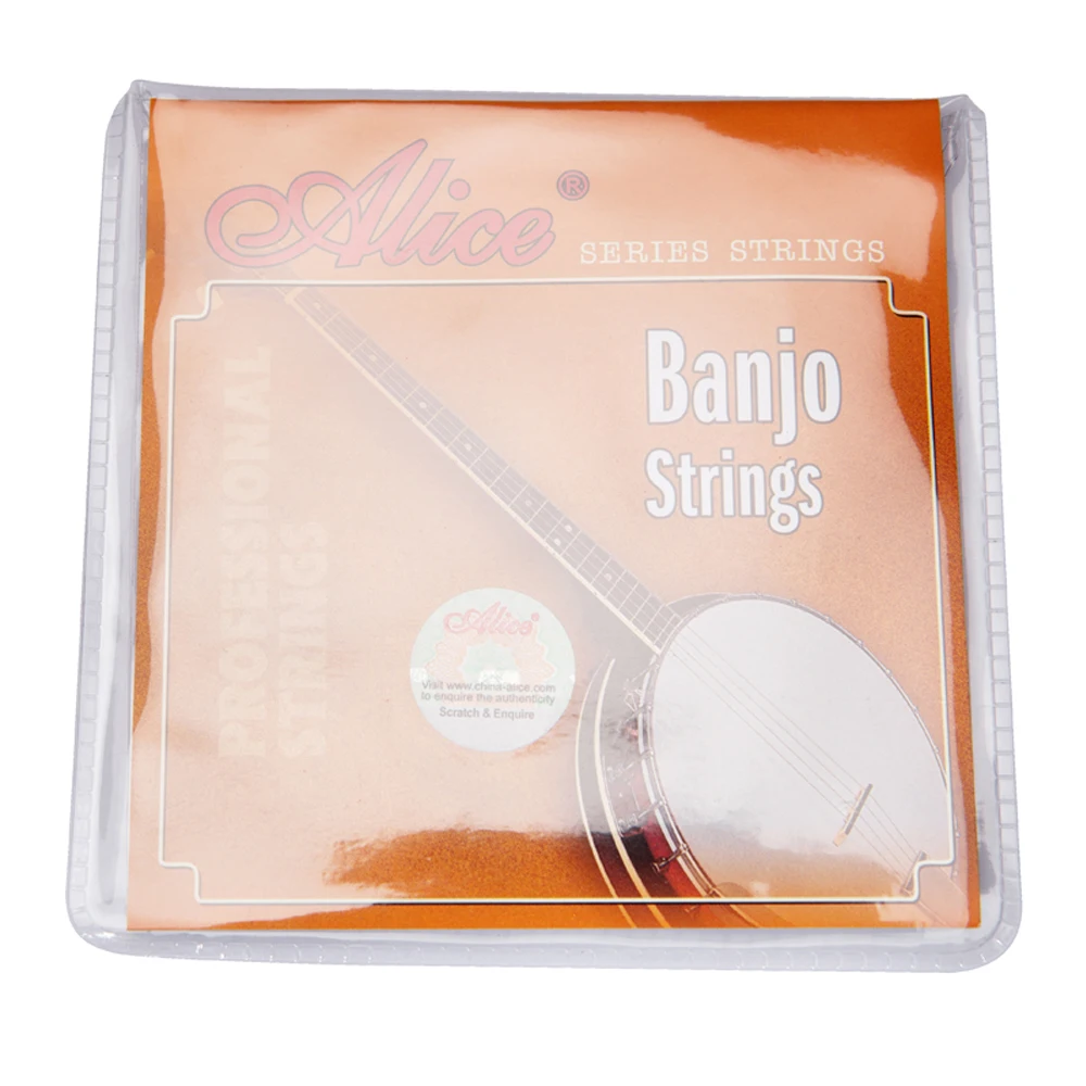 Banjo String 6